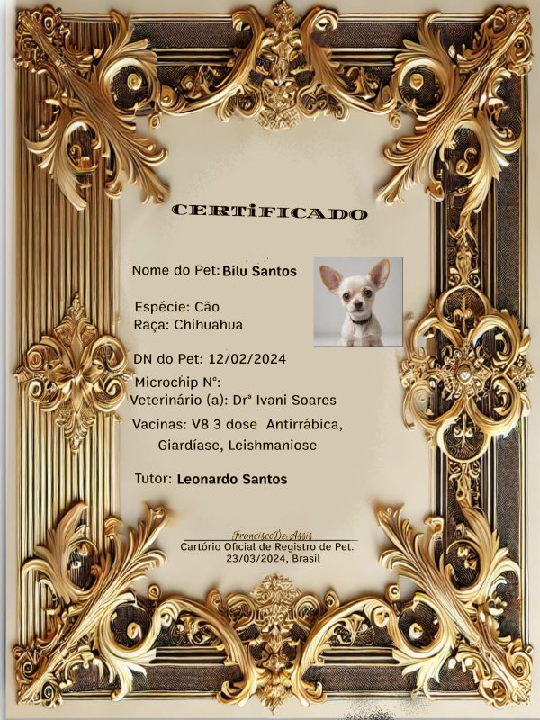 Guia de Saúde para seu PET: Cuidado Completo com Certificado - Imagem 2